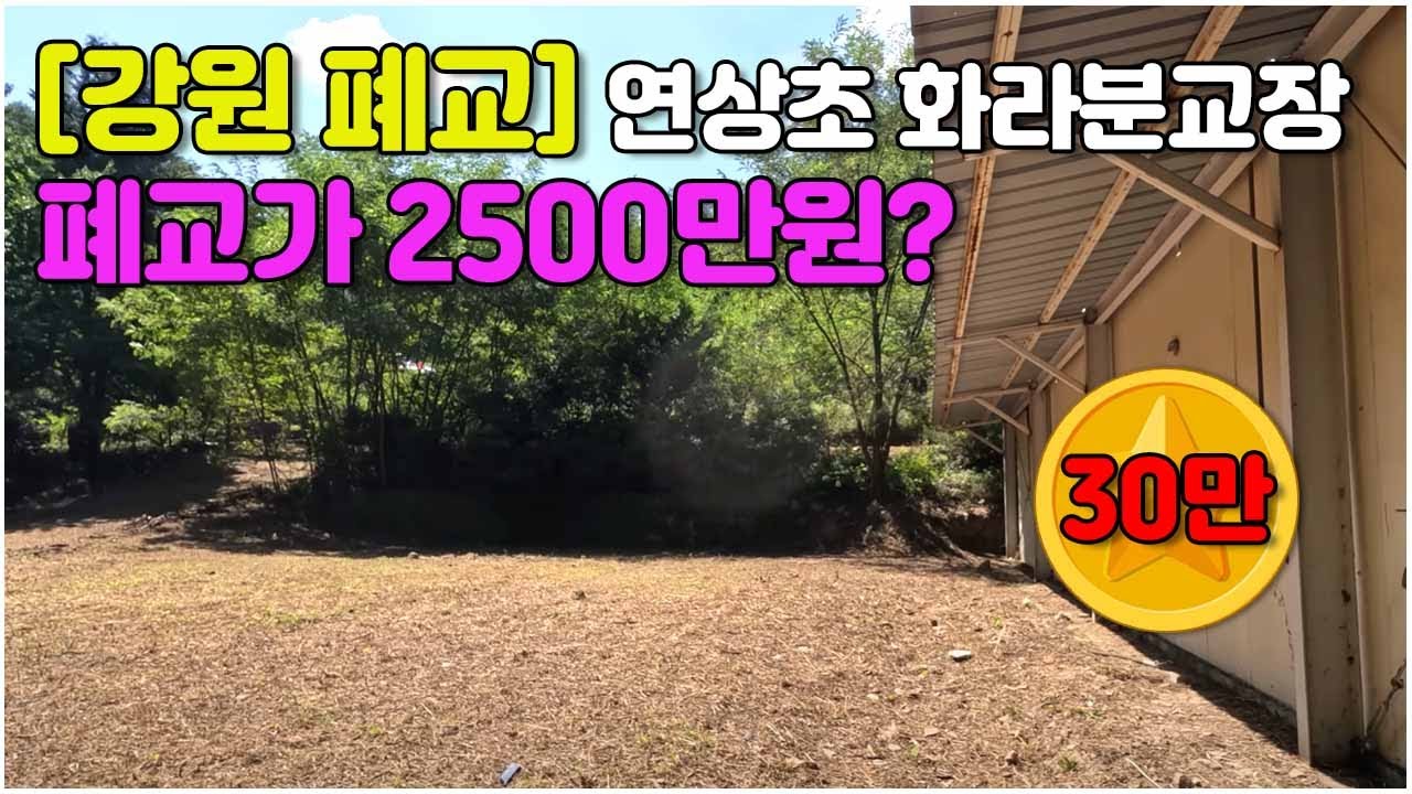 [강원 영월] 폐교 공시지가 2500만원 #연상초 #화라분교 #강원미활용폐교 #전국폐교 #폐교현황