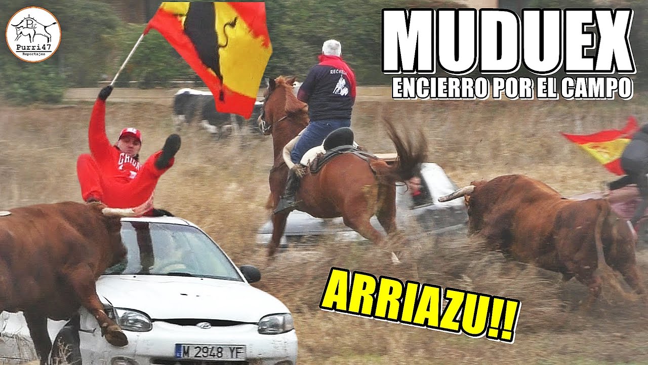 ARRIAZU🚨😱 БЕГ БЫКОВ ПО СЕЛЬСКОЙ МЕСТНОСТИ🌾 MUDUEX 👀2025💥🙌