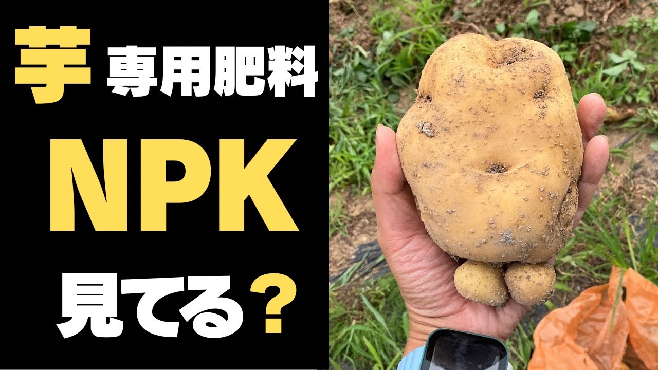 ジャガイモ専用肥料、NPKバランス全部違うのなんで？