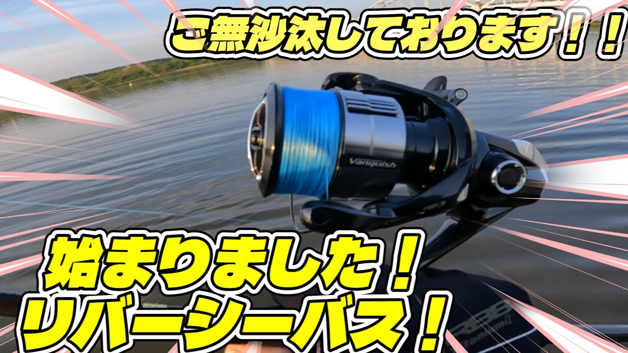 【シーバス】ご無沙汰フィッシュの魚が豪快すぎた！