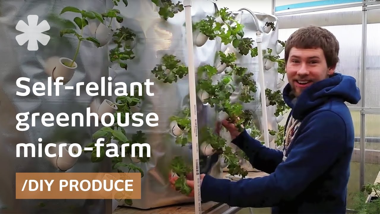 Self-sustaining farm for Wisconsin cold via backyard aeroponics