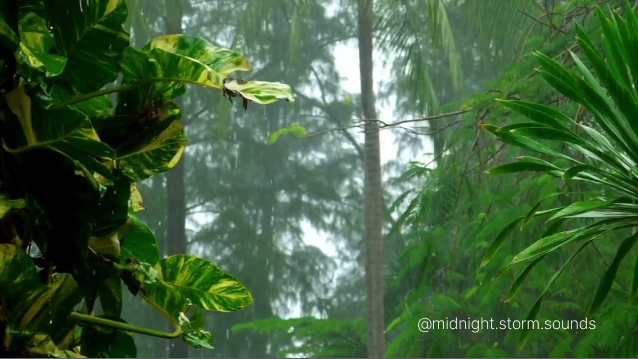 Relaxing Rain & Thunderstorm Sounds for Deep Sleep and Relaxation @midnight.storm.sounds#rainsounds 