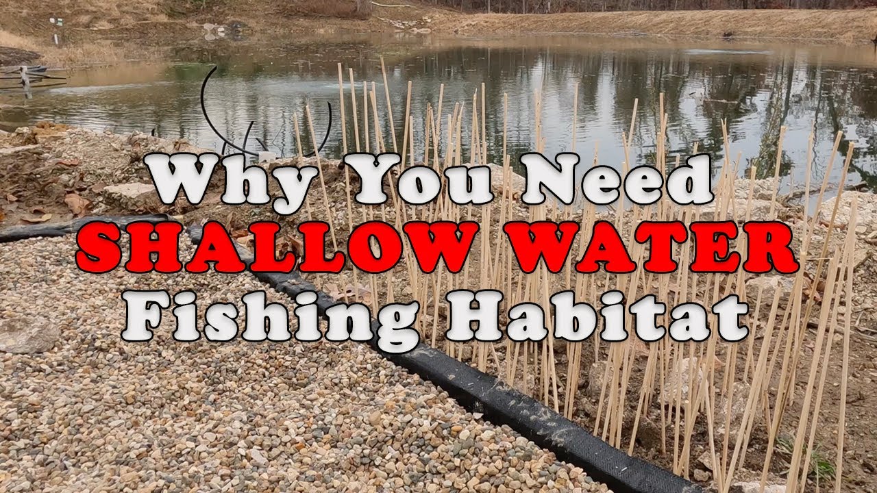 SIMPLE Shallow Water Fish Habitat Planning #bass #bluegill