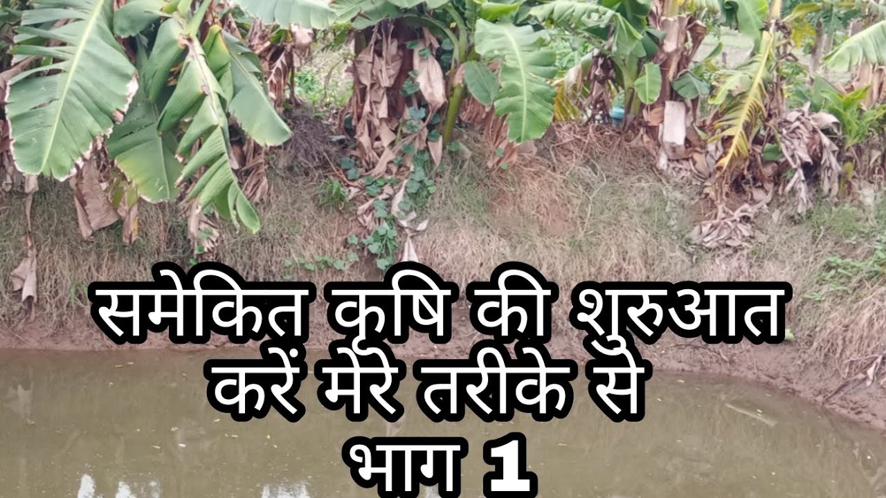 How To Start Integrating Farming?समेकित कृषि की शुरुआत कैसे करें ?🤔#farming