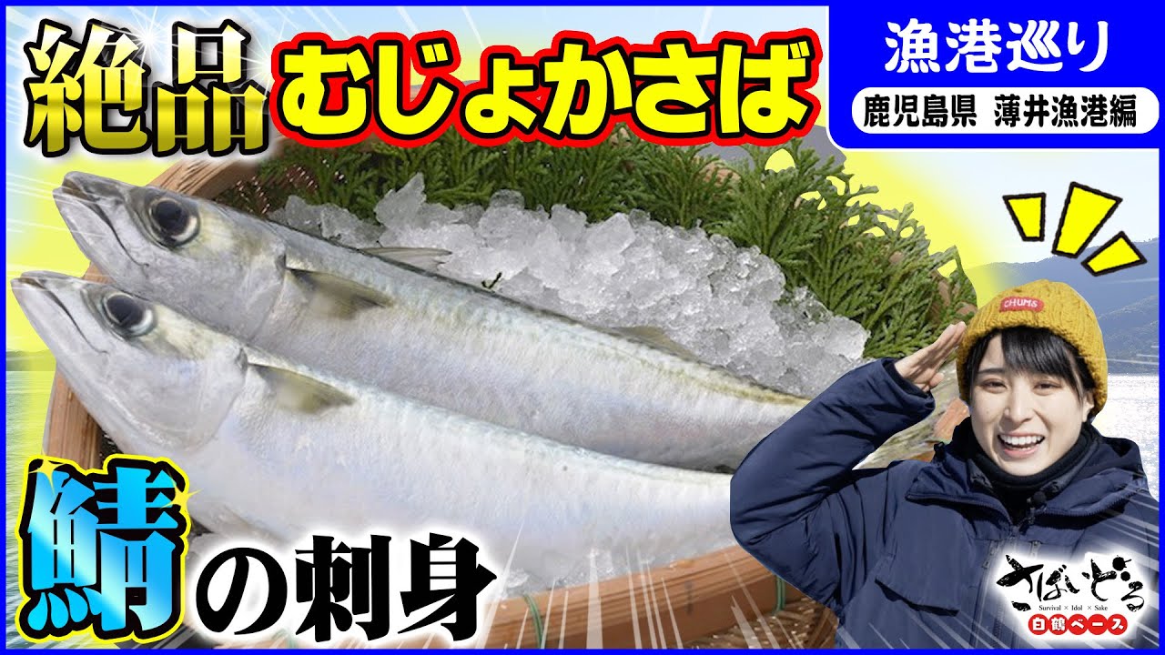【鹿児島で…雪!?】南国に大寒波が襲来！絶品ブランド鯖「むじょかさば」をゲットできるか！？【漁港巡り 鹿児島県 薄井漁港編】