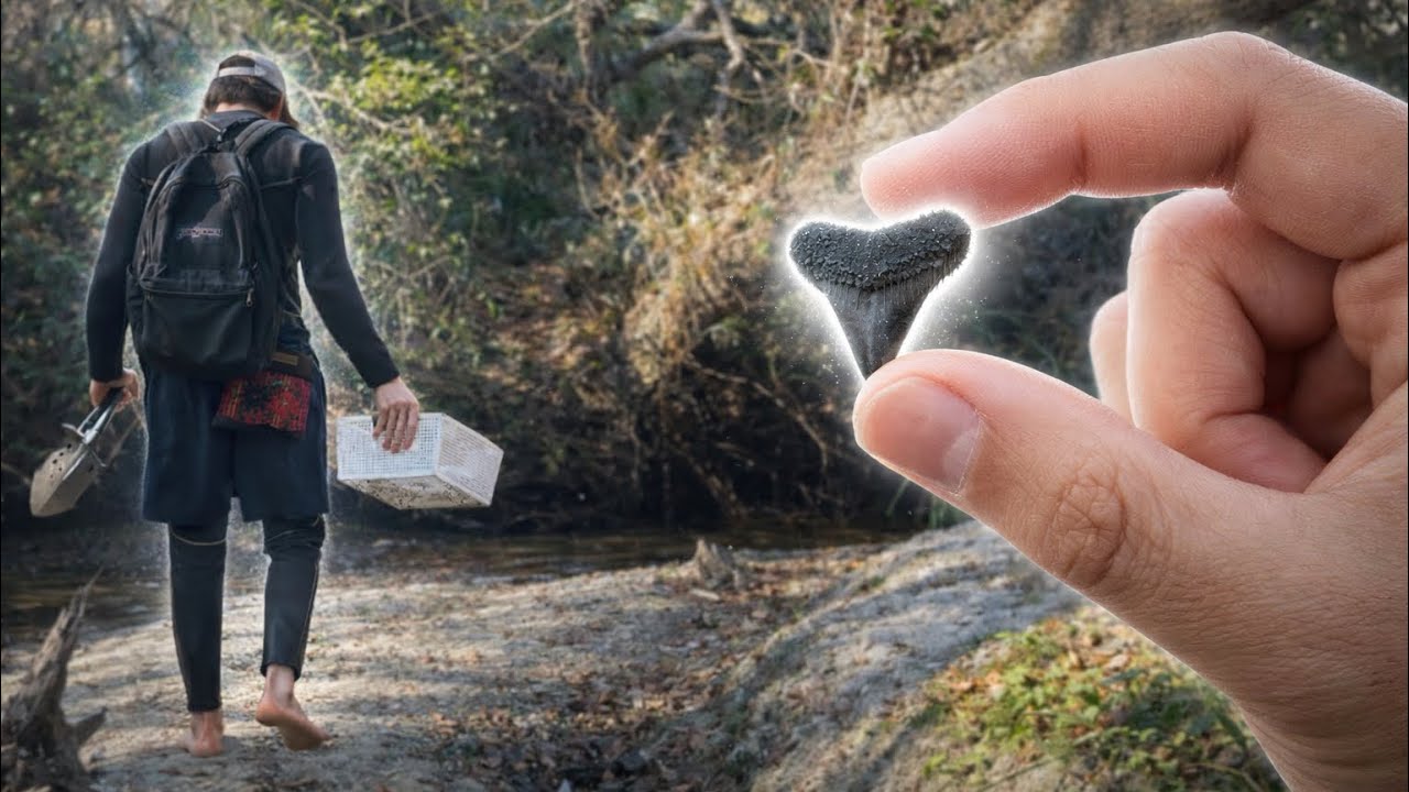Shark Tooth & CRYSTAL Hunting the Alafia River, FL