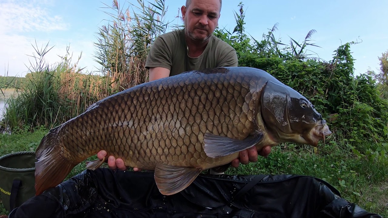 Carpfishing on Lake H&aacute;romfa