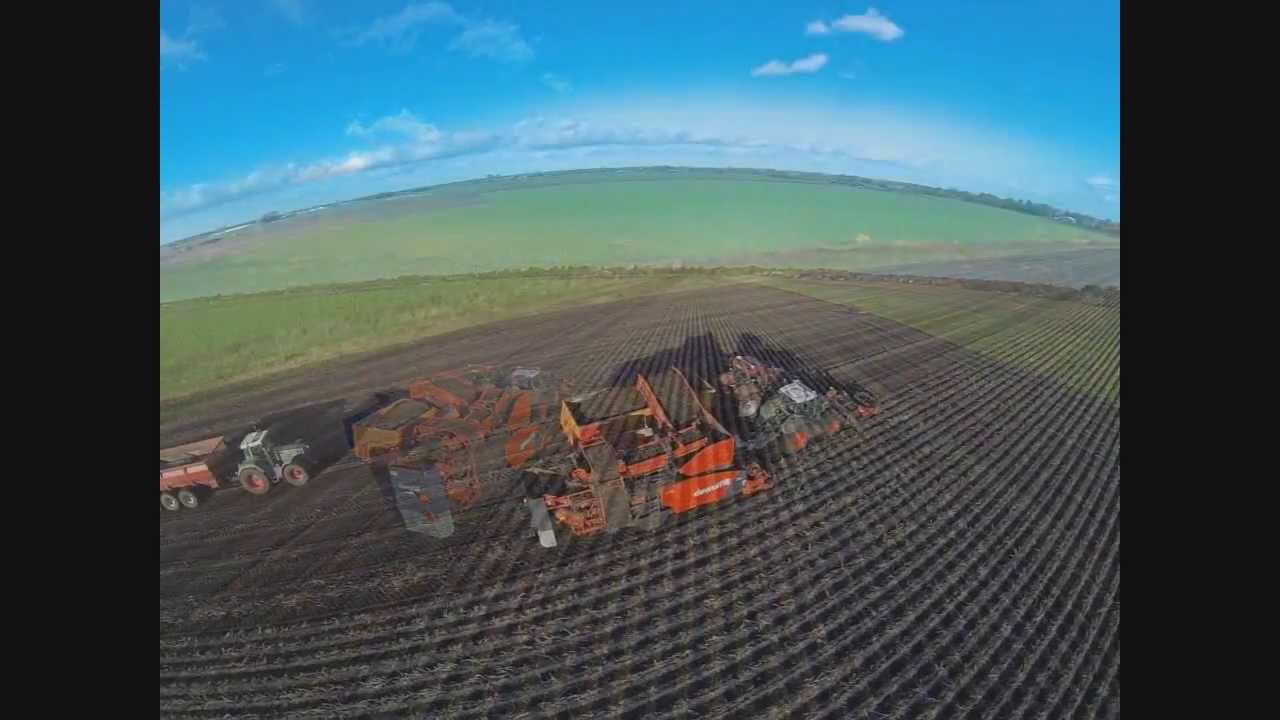APH noord en tolmac  aardappelrooiers