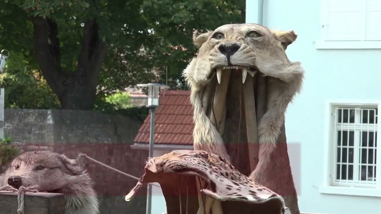 Alzey Römerfest 2023