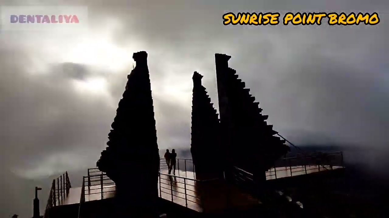 HARGA BUNGA EDELWEIS BROMO, BUNGA ABADI #bromo #sunrise #EDELWEIS #sunrisebromo