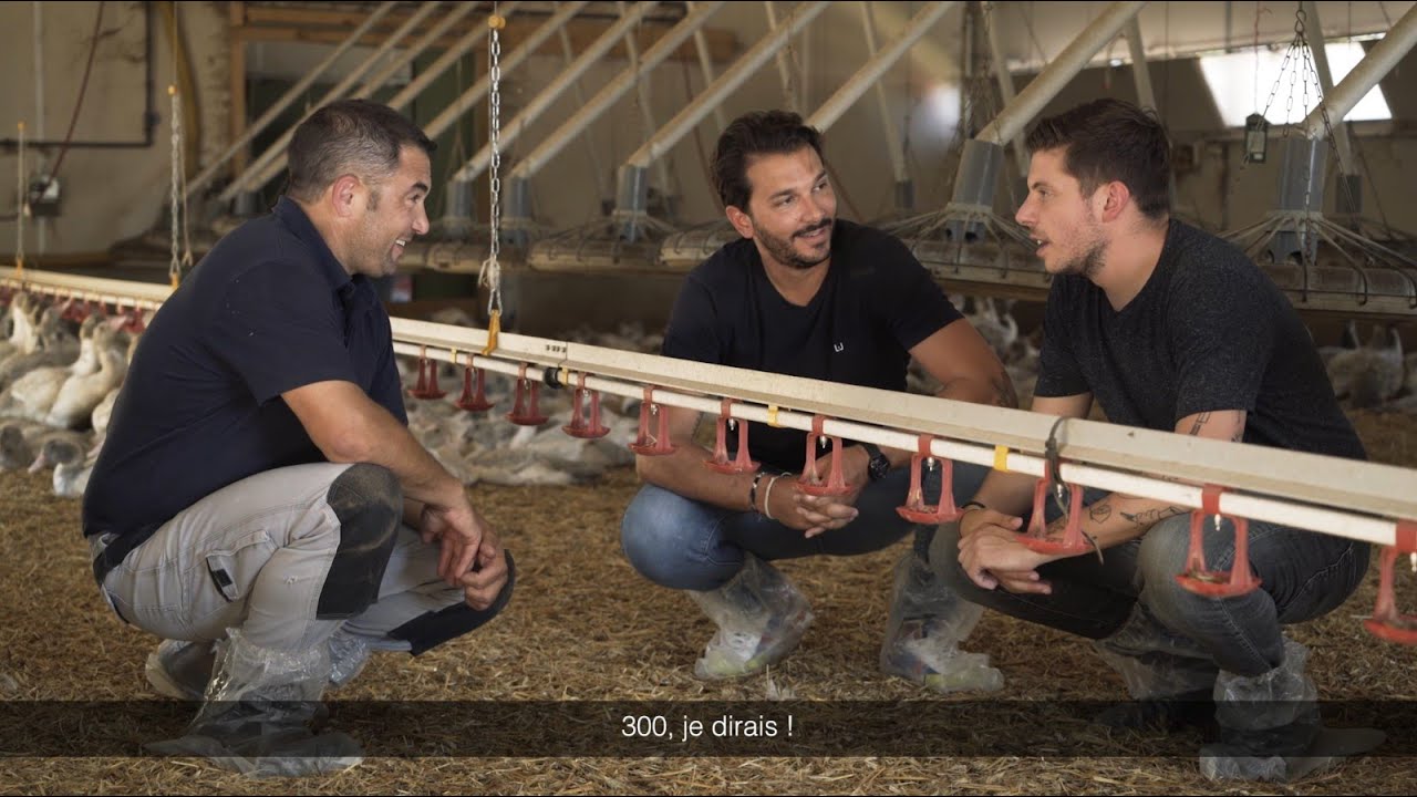 Rencontres sur la route du Foie Gras – E1 : A la découverte de l'élevage