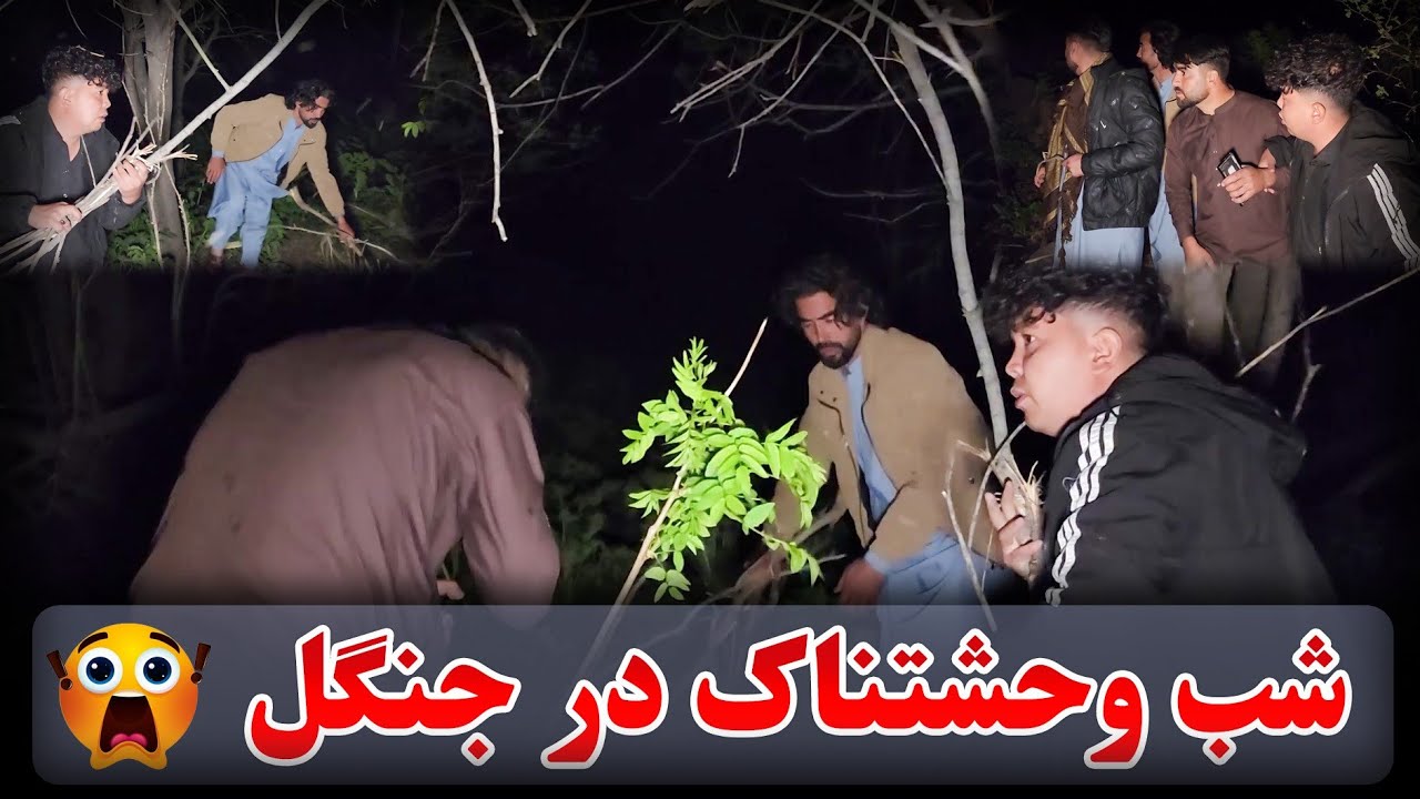 ویدیوی تازه - آماده کردن نان شب در جنگل وحشتناک