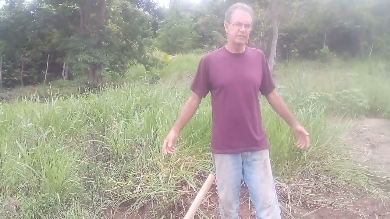 Comprei um sítio e agora?