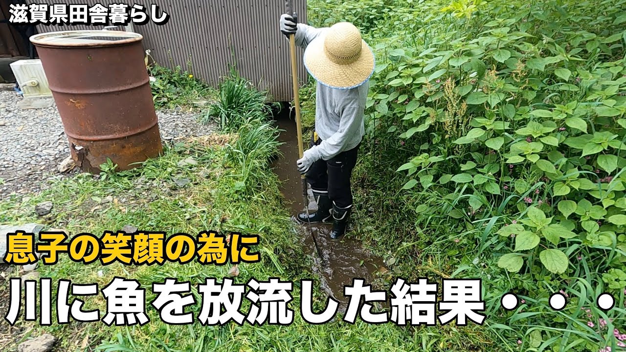 【田舎暮らし】魚を放した日、親子で感じた田舎の幸せ時間