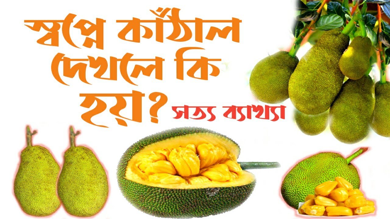 স্বপ্নে কাঁঠাল দেখার ব্যাখ্যা | shopne Kathal dekhle ki hoy | shopner bekkha | স্বপ্নের ব্যাখ্যা |