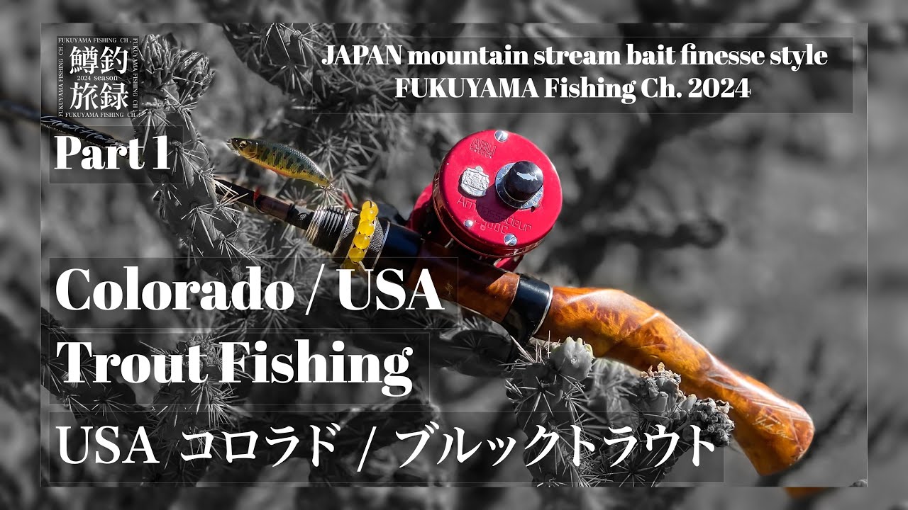 Colorado🇺🇸 Trout Fishing Part1  Brook Trout - JAPAN mountain stream bait finesse style | #鱒釣旅録 2024