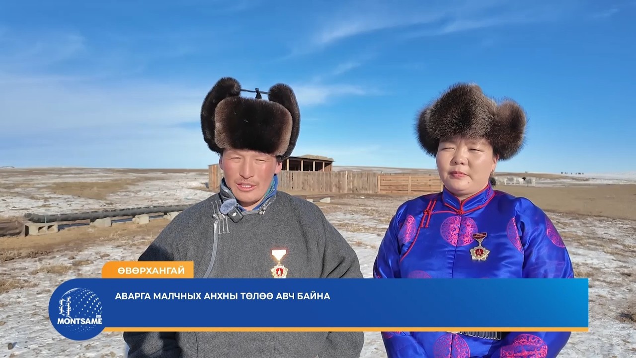 ӨВӨРХАНГАЙ: Аварга малчных анхны төлөө авч байна
