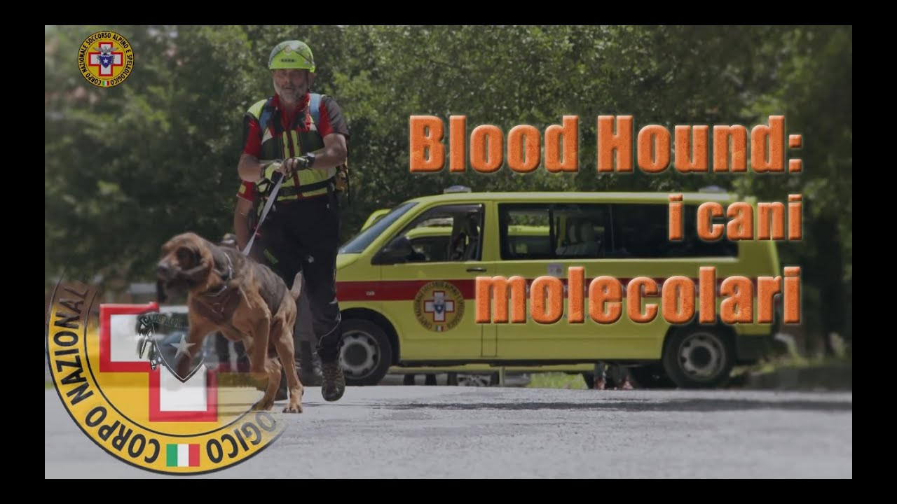CNSAS - Blood Hound, i cani molecolari