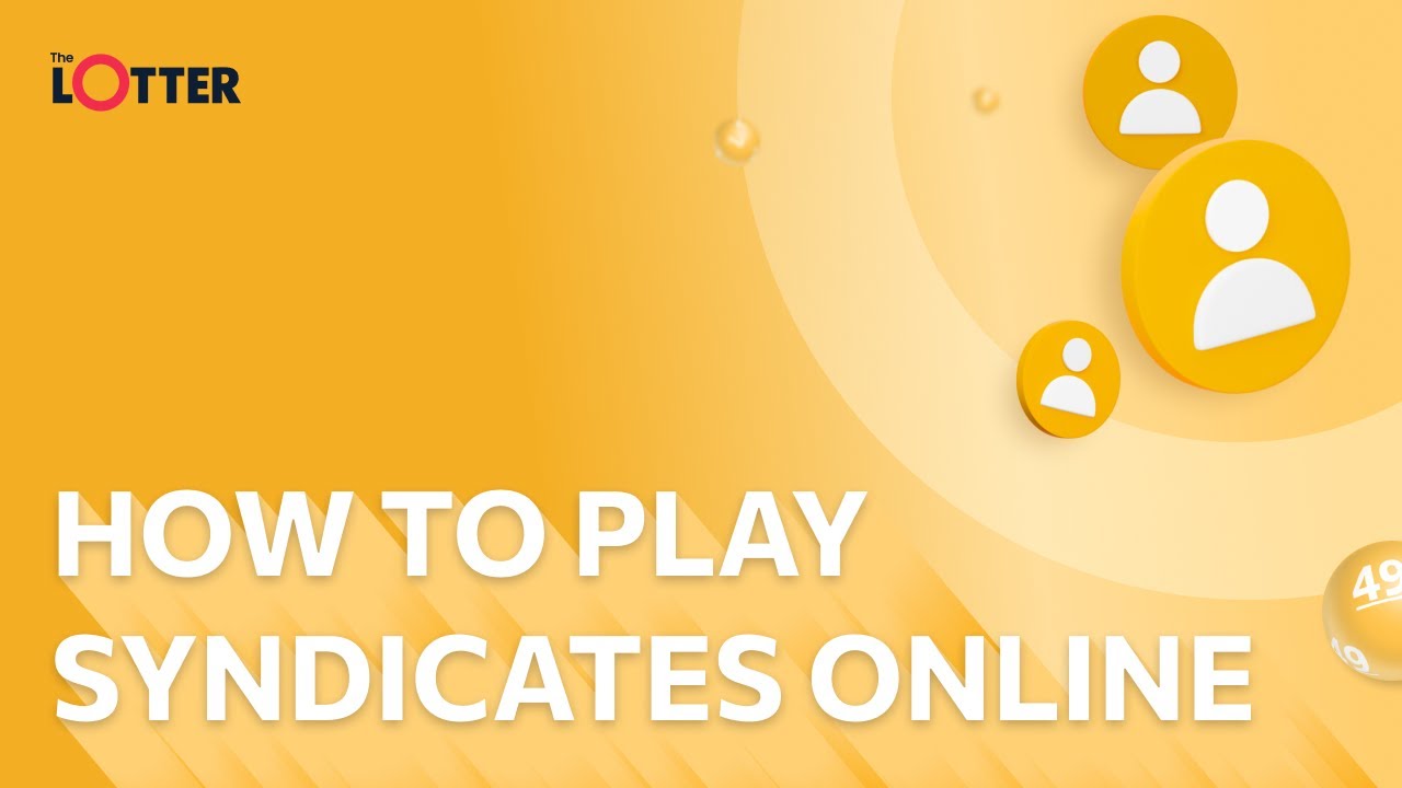 How to Play Lottery Syndicates Online?