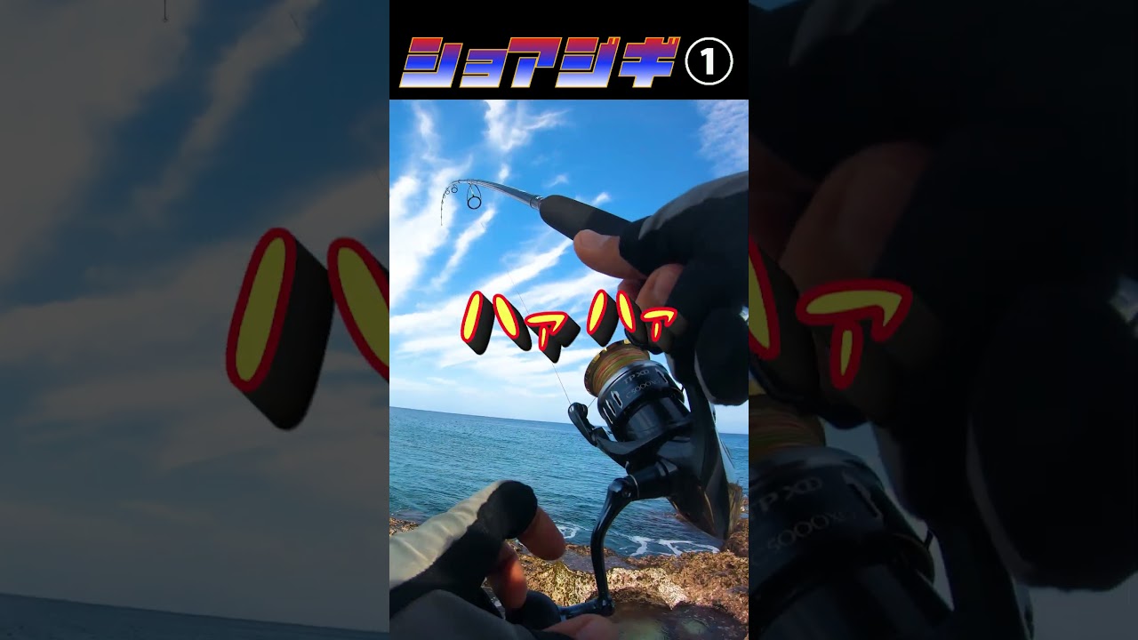 はぁはぁ...#釣り #fishing #ショアジギング #ダイソージグ #宮古島