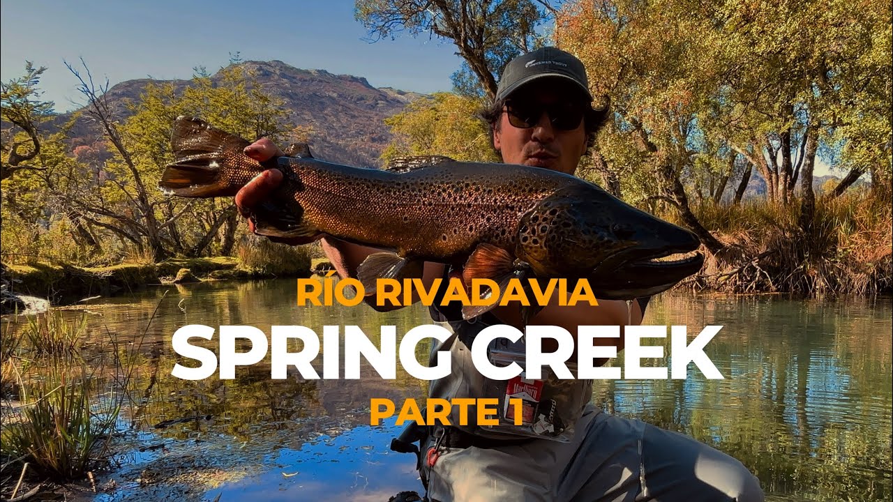 Pesca en Patagonia Spring Creek Río Rivadavia parte 1.