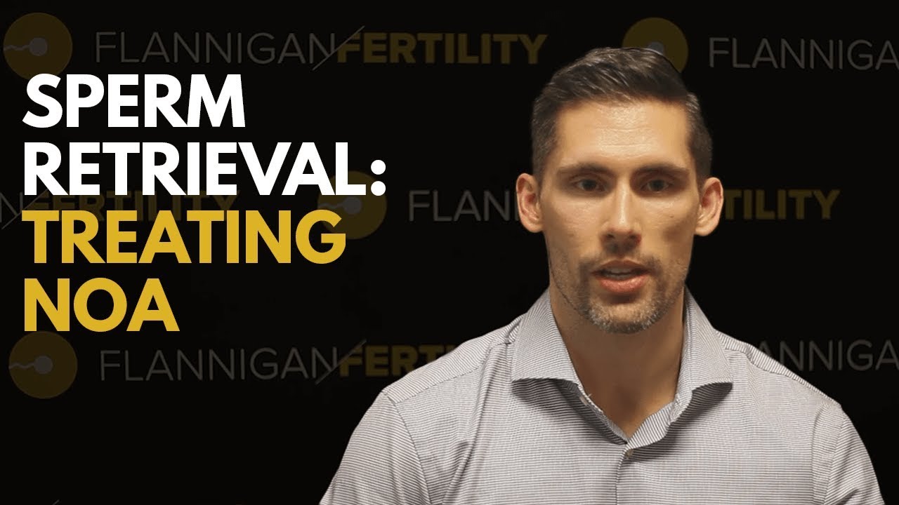 Sperm Retrieval Treating non obstructive azoospermia