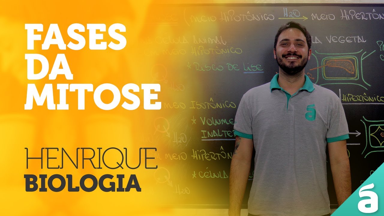 Fases da Mitose - Prof. Henrique