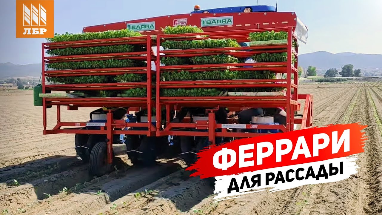 Скоростная посадка рассады с Ferrari FMax