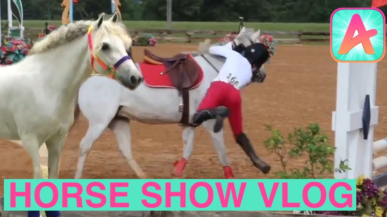 FALLING OFF AT A SHOW + Amino Equestrian App // HORSE SHOW VLOG