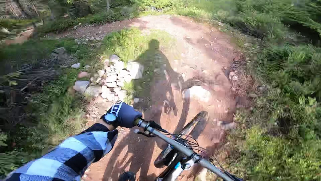 Gesunda Bike Park - Skogsmys (from top to bottom)