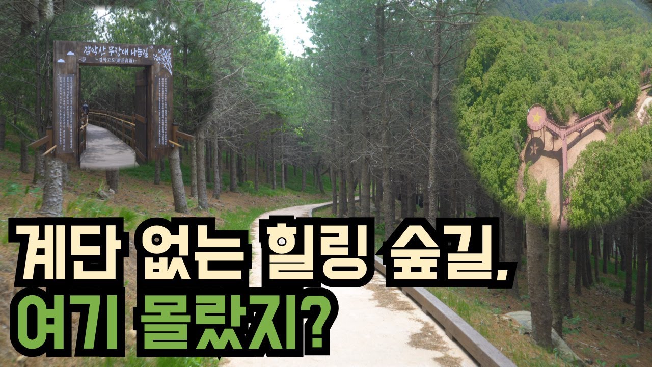 [영상기자단]거창 감악산 무장애길 숲길 힐링코스 대공개!_서현석