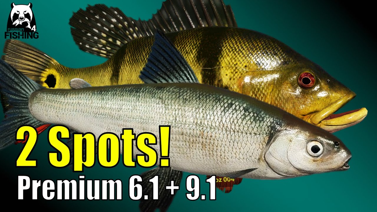 Russian Fishing 4 - Kuori / Elk Lake - Augenfleckenkammbarsch und Kuori Felchen #rf4