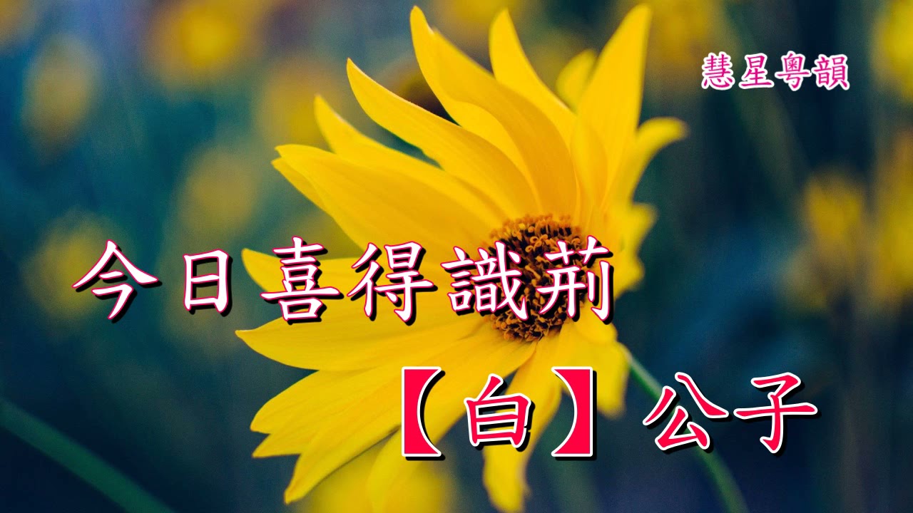 桃花扇之訪翠  黃德正 楊桂珍 合唱      阮眉撰曲