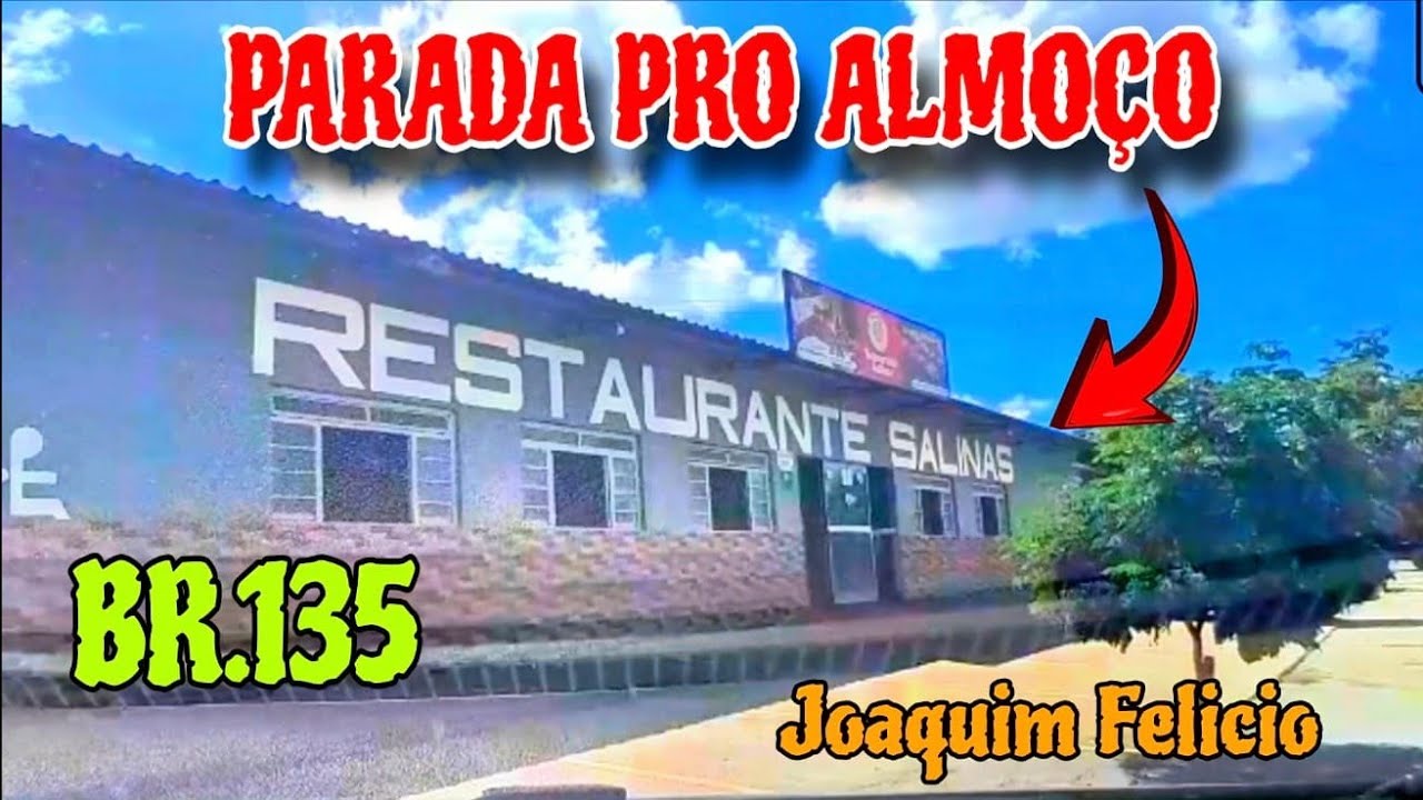 11 vídeo retorno de Pernambuco para São Paulo 