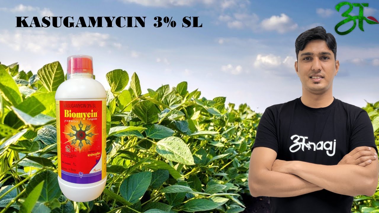 Biomycin के बारे में सब कुछ जानिए | Biostadt India Limited
