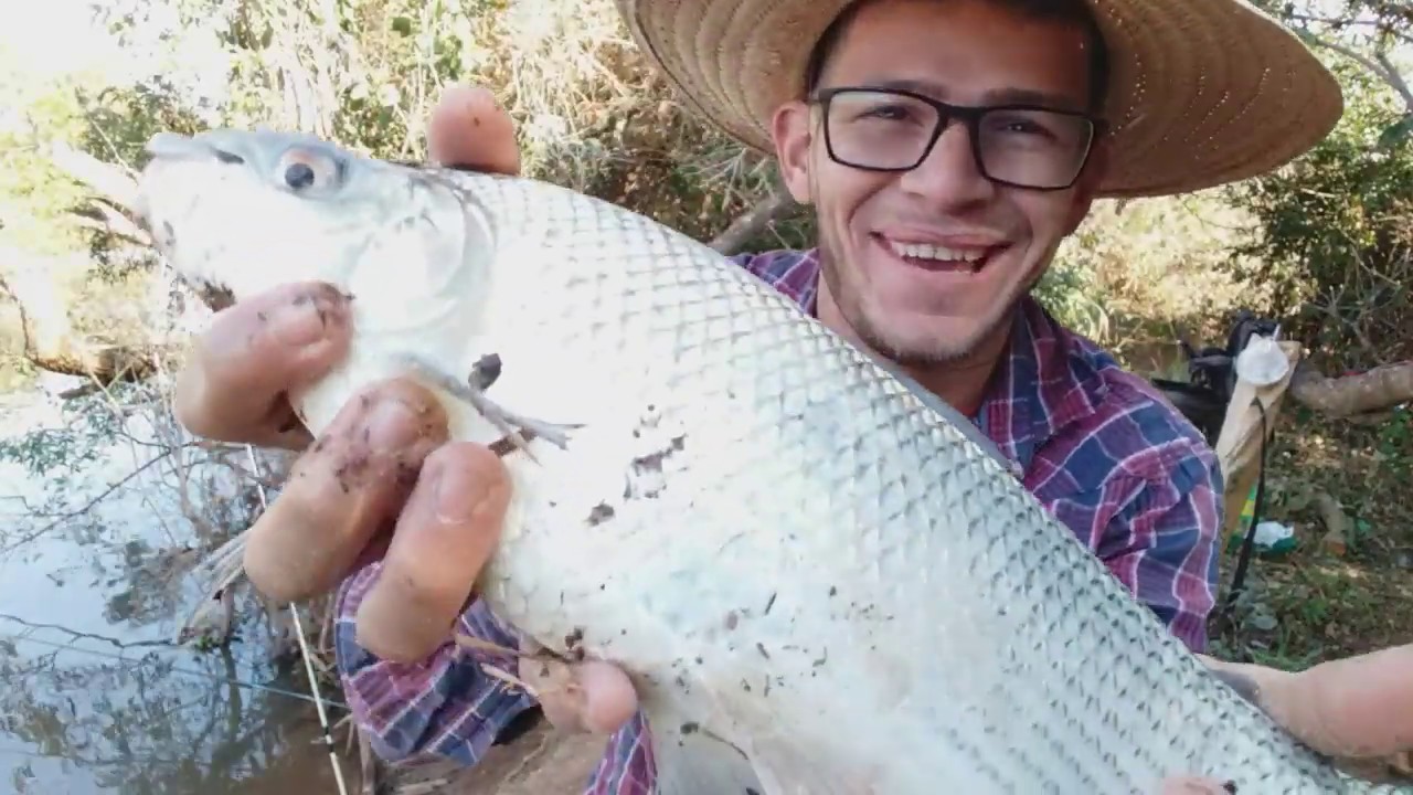 MASSA ESPETACULAR PARA QUEM QUER PEGAR CORIMBA ...
