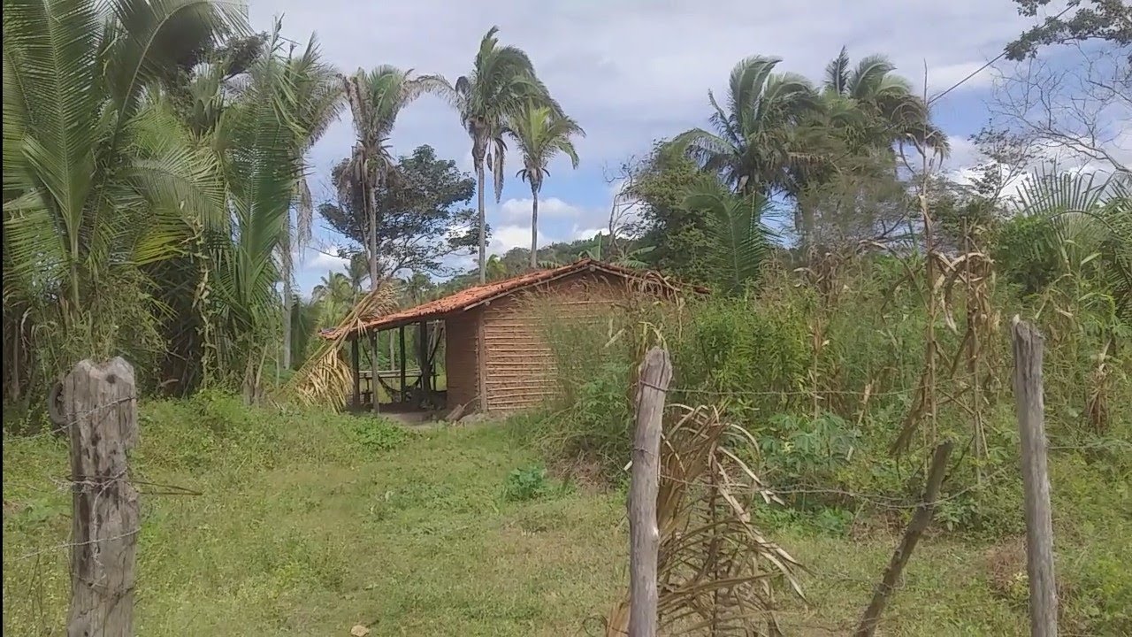 Roça No Maranhão/ Visitando A Natureza