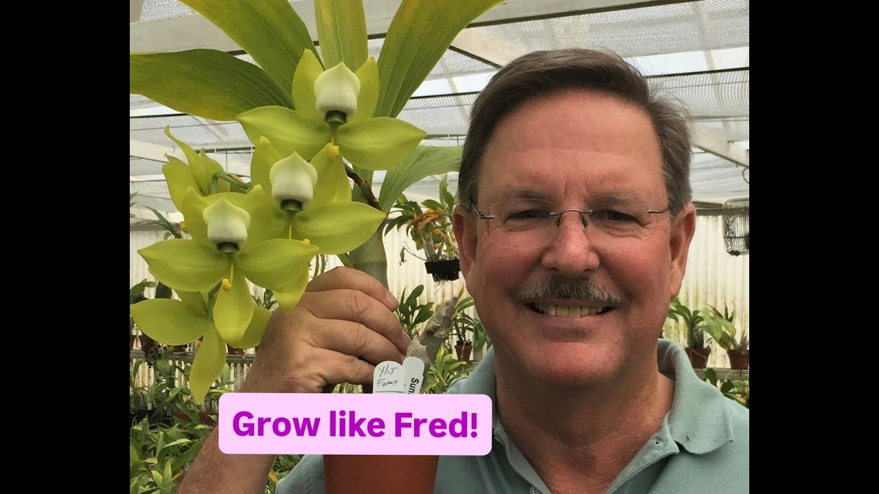 Catasetum Care Guide with Fred Clarke