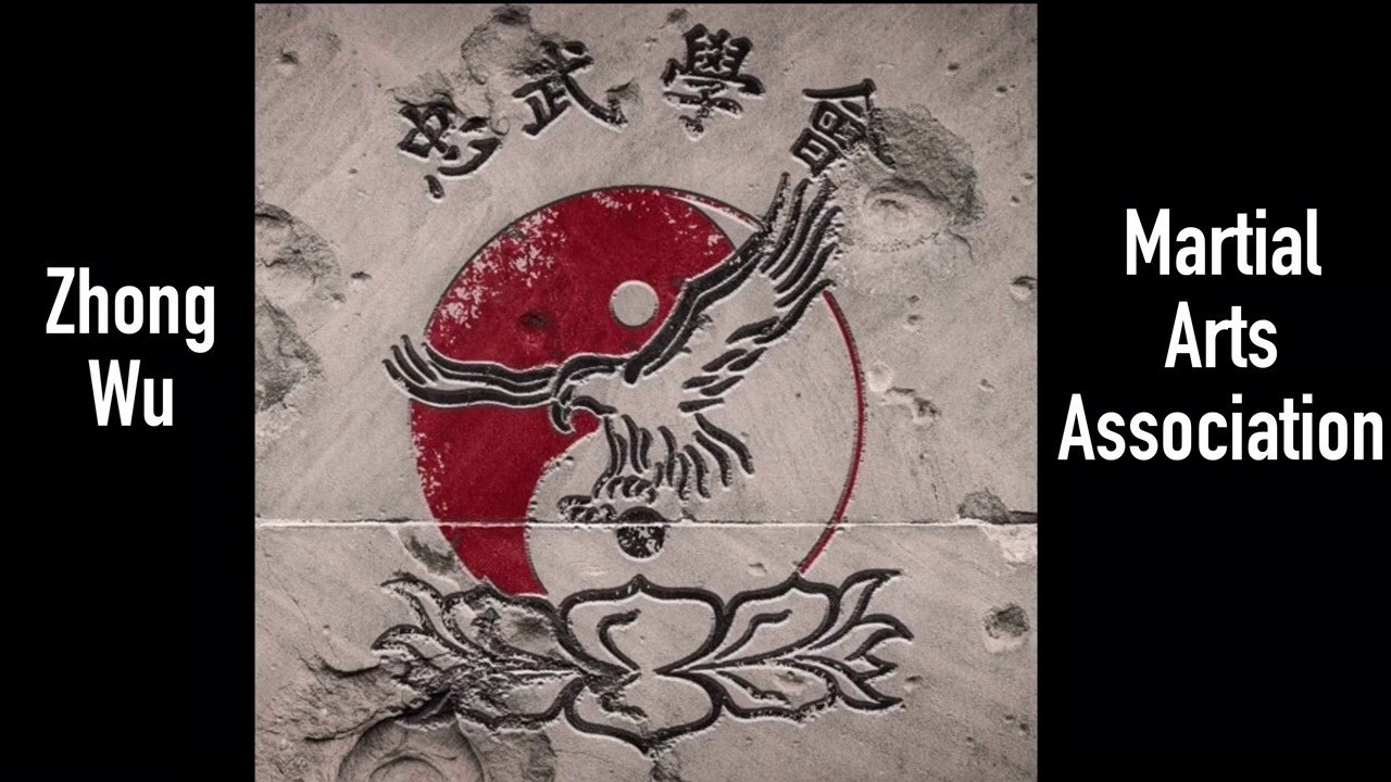 Bagua Zhang Applications