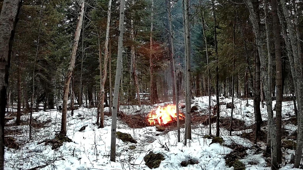 Bonfire Timelapse