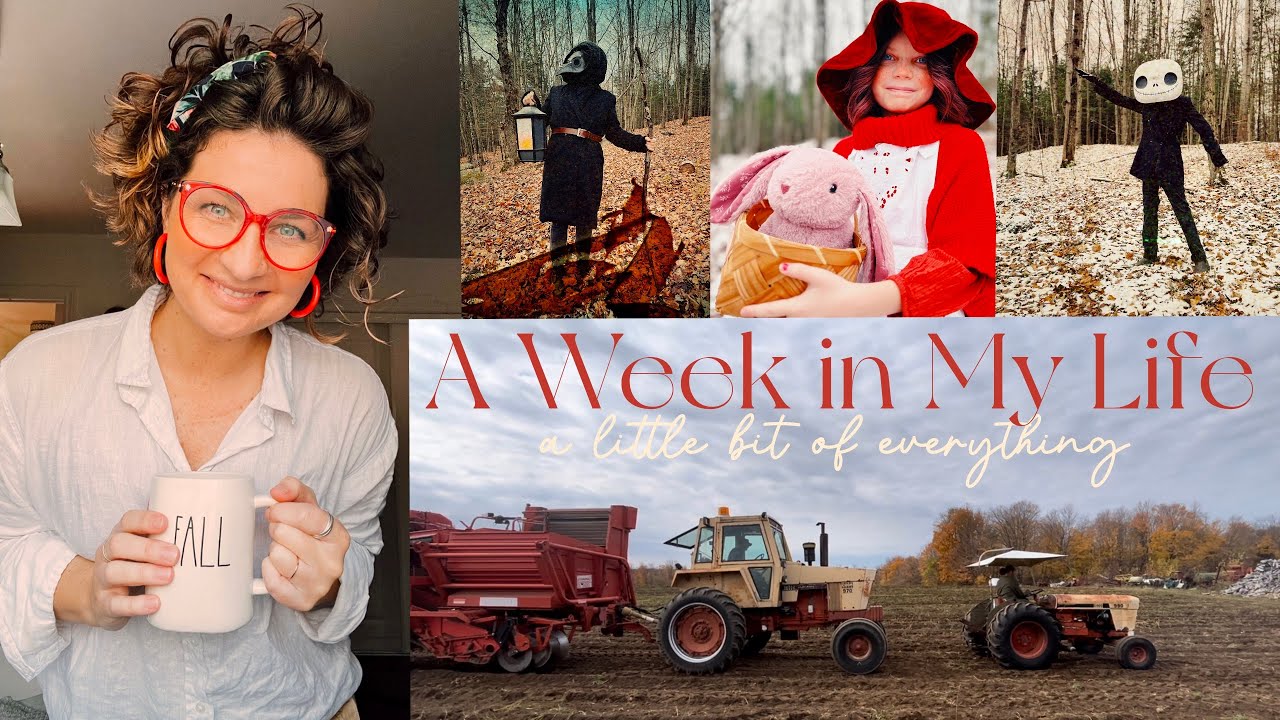 A Week in My Life - organic seed potato harvest | groceries | a little bit of everything