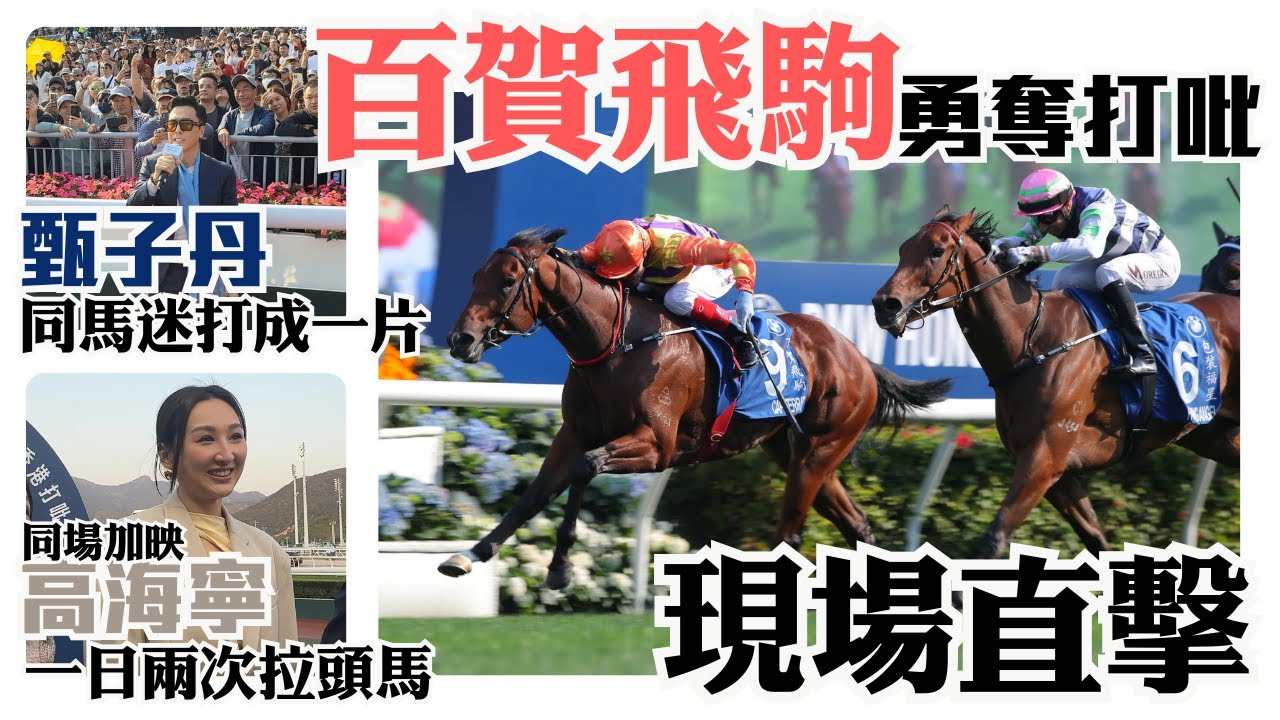 百賀飛駒勇奪打吡現場直擊 / 甄子丹與馬迷打成一片 / 同場加映訪問高海寧兩次拉頭馬
