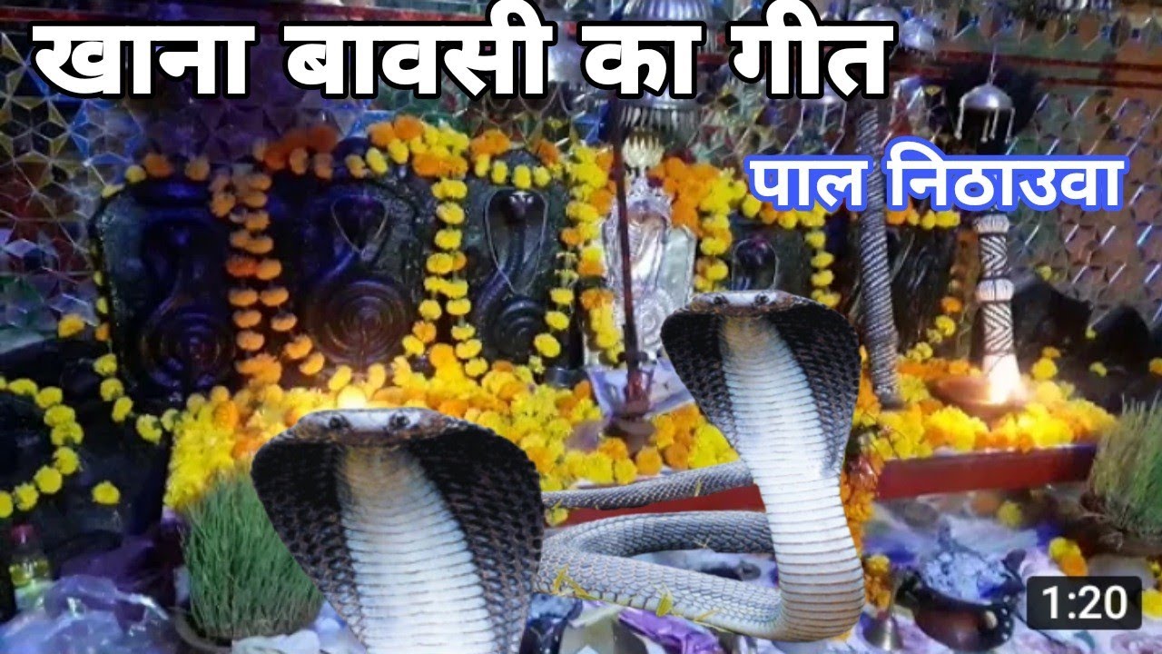 खाना बावसी का गीत पाल निठाउवा