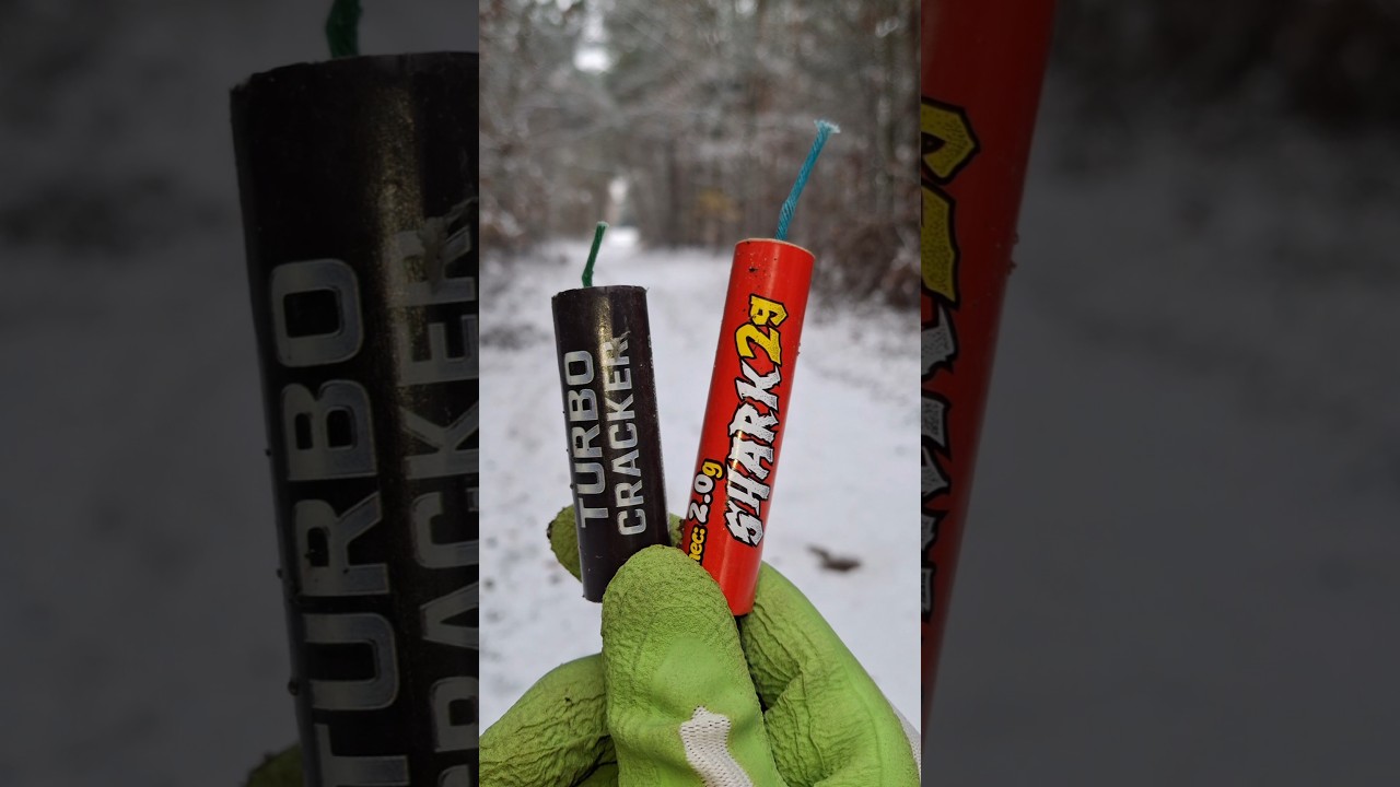 Turbo Crackers FP20 jorge VS Shark fp6 #shorts #fireworks #firecrackers #pyro #shortsfeed #petardy