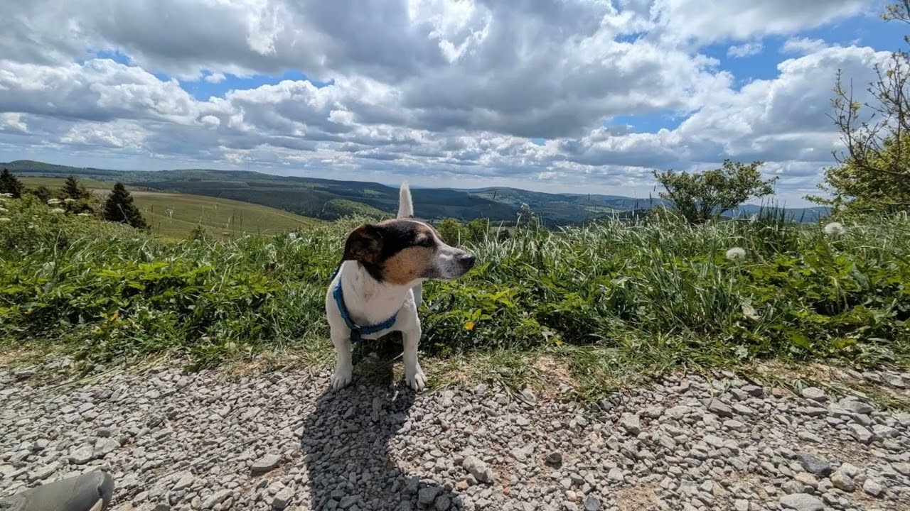 Thüringen Reise nach einmal 19 Mai 2025👋