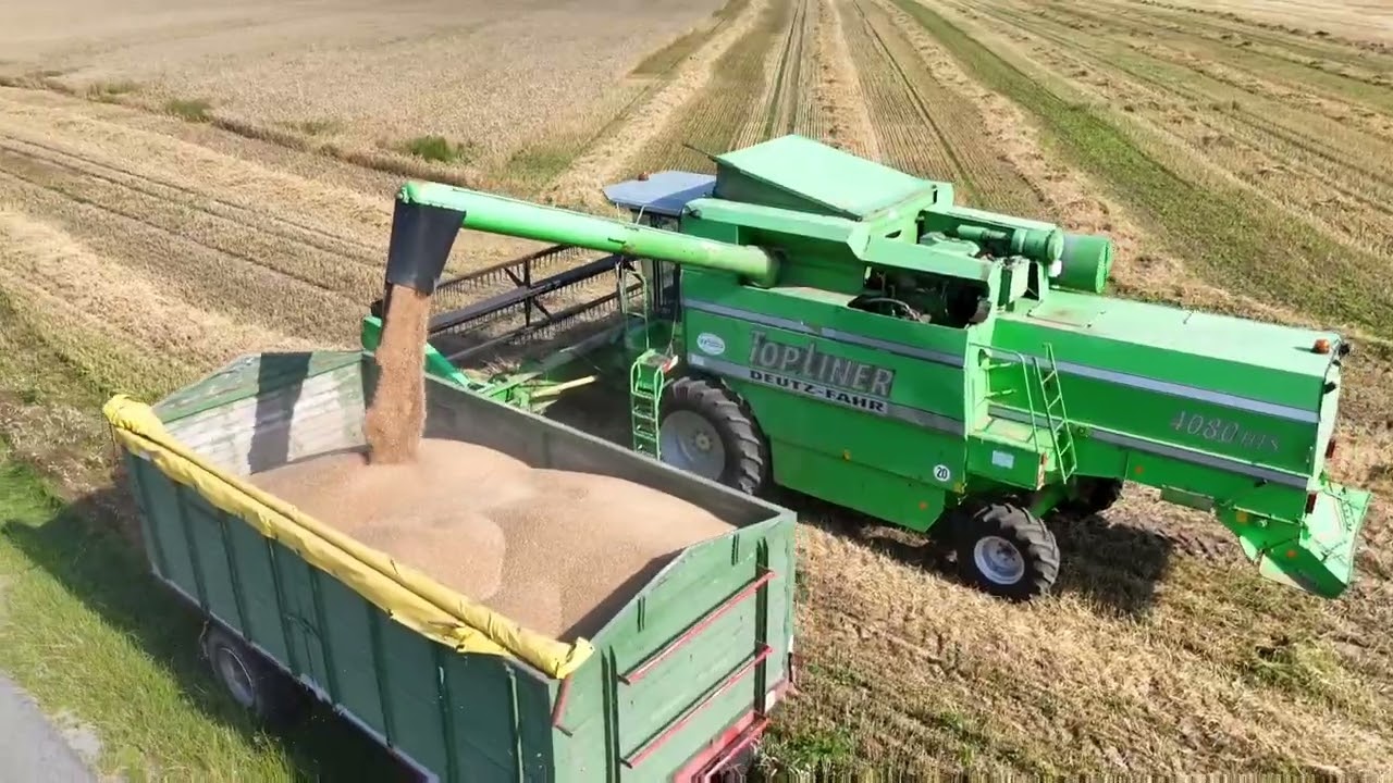 Deutz Mähdrescher 4080HTS Im Einsatz #deutz_fahr #farming #cloppenburg #dreschen