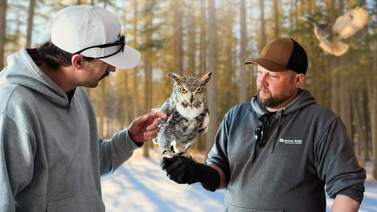 Private Tour of Canada’s Top Wildlife Rescue (We Got ATTACKED)