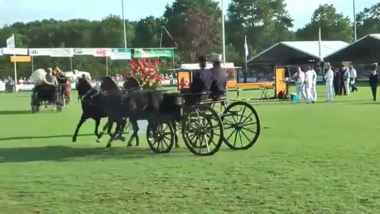 Tuigpaardenconcours Norg 2015