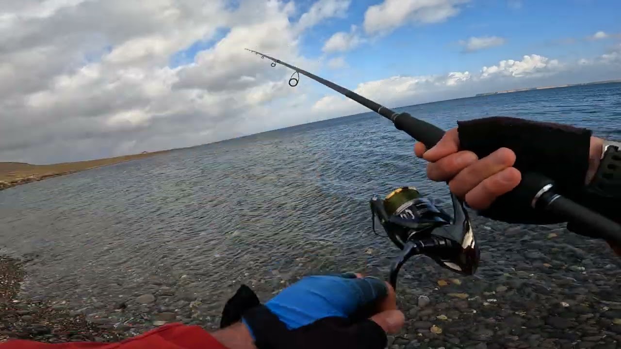 Jack Fin Stylo Jointed 255 in atış ve erim testini yaptım. #fishing #fish #fishinglife #fishingvideo