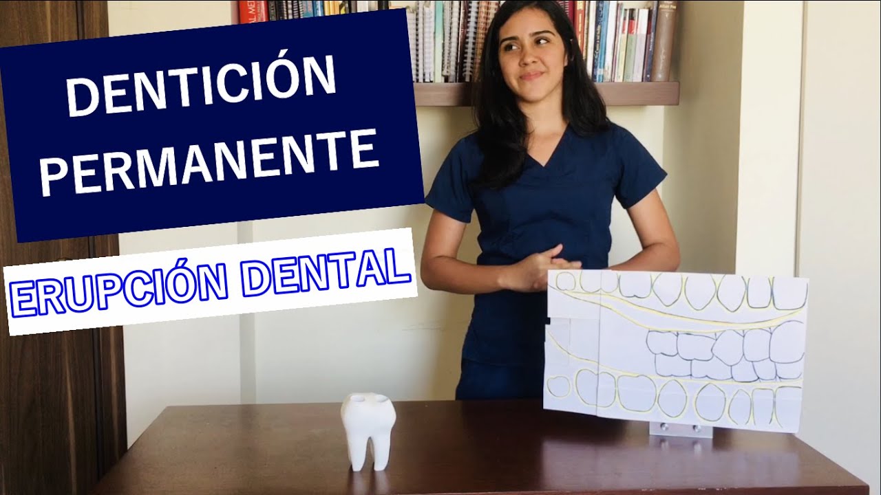 DENTICIÓN PERMANENTE | ERUPCIÓN DENTAL | DENTAL VBOHS